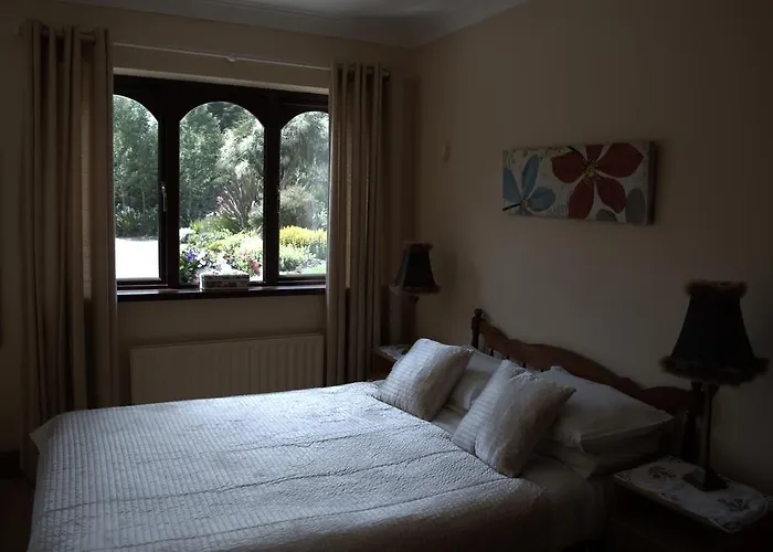 Old Orchard * Rosslare Harbour